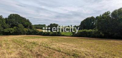 Terrain seul à Ruffec en Charente (16) de 3590 m² à vendre au prix de 30800€ - 2