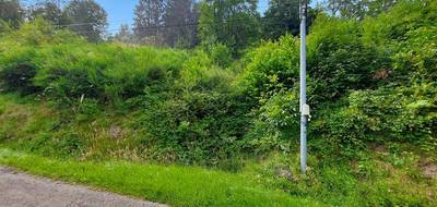 Terrain seul à Fellering en Haut-Rhin (68) de 3489 m² à vendre au prix de 140000€ - 3