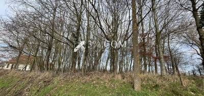 Terrain seul à Vendhuile en Aisne (02) de 2611 m² à vendre au prix de 26000€ - 2