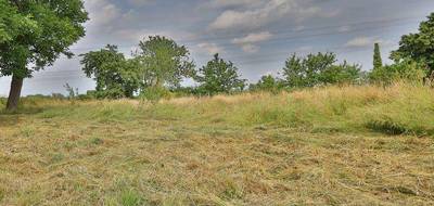 Terrain seul à Cappelle-en-Pévèle en Nord (59) de 0 m² à vendre au prix de 229000€ - 1
