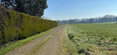 Terrain seul à Saint-Martin-sur-Oust en Morbihan (56) de 4218 m² à vendre au prix de 30000€ - 3