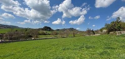Terrain seul à Trambly en Saône-et-Loire (71) de 5051 m² à vendre au prix de 55000€ - 1