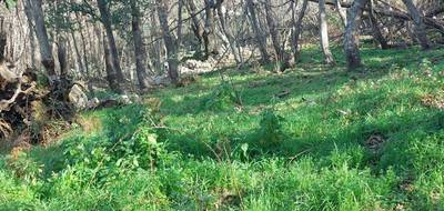 Terrain seul à Ville-di-Paraso en Haute-Corse (2B) de 1100 m² à vendre au prix de 90650€ - 4