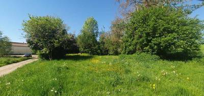 Terrain seul à Sarcy en Marne (51) de 735 m² à vendre au prix de 59000€ - 4