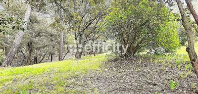 Terrain seul à Saint-Clément-de-Rivière en Hérault (34) de 2008 m² à vendre au prix de 485000€ - 3