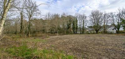 Terrain seul à Férel en Morbihan (56) de 1168 m² à vendre au prix de 179500€ - 1