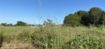 Terrain seul à Lignan-sur-Orb en Hérault (34) de 2790 m² à vendre au prix de 215000€ - 1