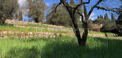 Terrain seul à Valbonne en Alpes-Maritimes (06) de 1066 m² à vendre au prix de 450000€ - 3