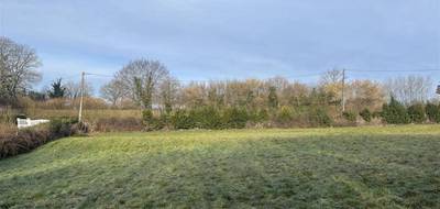 Terrain seul à Masléon en Haute-Vienne (87) de 2217 m² à vendre au prix de 22000€ - 1
