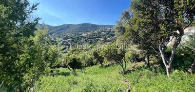 Terrain seul à La Croix-Valmer en Var (83) de 1198 m² à vendre au prix de 839000€ - 4