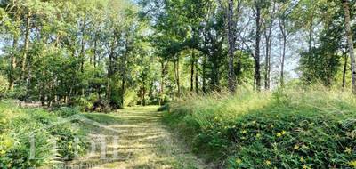 Terrain seul à Gimont en Gers (32) de 2799 m² à vendre au prix de 98000€ - 2