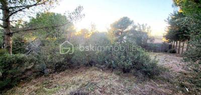 Terrain seul à Balaruc-les-Bains en Hérault (34) de 1000 m² à vendre au prix de 335000€ - 3