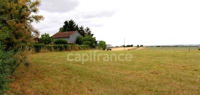 Terrain seul à Fleurance en Gers (32) de 5000 m² à vendre au prix de 57000€ - 3