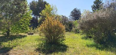 Terrain seul à Mazan en Vaucluse (84) de 1285 m² à vendre au prix de 169900€ - 1