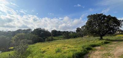 Terrain seul à Aléria en Haute-Corse (2B) de 1490 m² à vendre au prix de 165000€ - 2