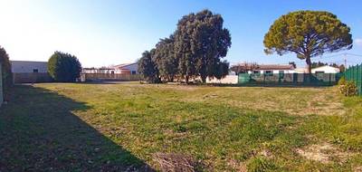 Terrain seul à Violès en Vaucluse (84) de 1400 m² à vendre au prix de 245000€ - 3