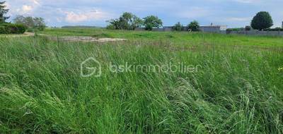 Terrain seul à Juranville en Loiret (45) de 881 m² à vendre au prix de 29000€ - 2