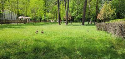 Terrain seul à Peyremale en Gard (30) de 3500 m² à vendre au prix de 178000€ - 4