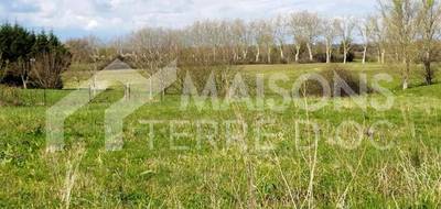 Programme terrain + maison à Lescout en Tarn (81) de 728 m² à vendre au prix de 189900€ - 2