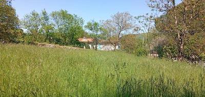 Terrain seul à Crampagna en Ariège (09) de 1100 m² à vendre au prix de 60000€ - 3
