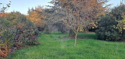 Terrain seul à Marsillargues en Hérault (34) de 1770 m² à vendre au prix de 425000€ - 2