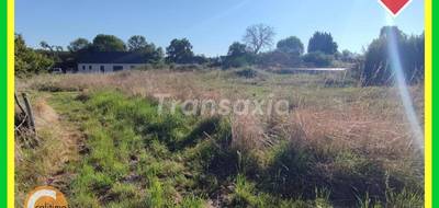 Terrain seul à Cours-les-Barres en Cher (18) de 1749 m² à vendre au prix de 34990€ - 1