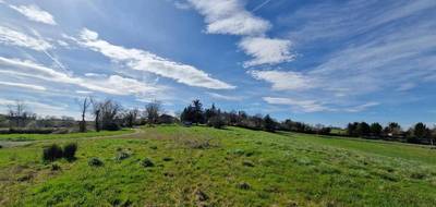 Terrain seul à Mirande en Gers (32) de 2289 m² à vendre au prix de 39000€ - 1