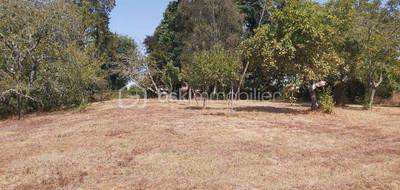 Terrain seul à Hinx en Landes (40) de 970 m² à vendre au prix de 103500€ - 2
