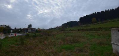 Terrain seul à Dunières en Haute-Loire (43) de 1018 m² à vendre au prix de 59000€ - 2