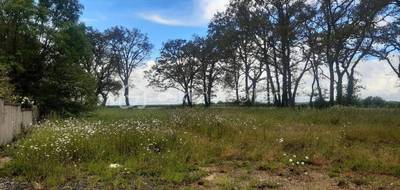 Terrain seul à Blain en Loire-Atlantique (44) de 1798 m² à vendre au prix de 157000€ - 1