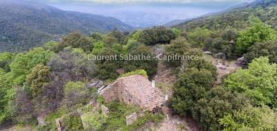 Terrain seul à Glorianes en Pyrénées-Orientales (66) de 990000 m² à vendre au prix de 535000€ - 1