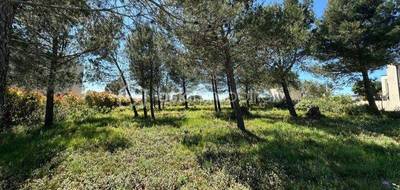 Terrain seul à Nîmes en Gard (30) de 1000 m² à vendre au prix de 315000€ - 2