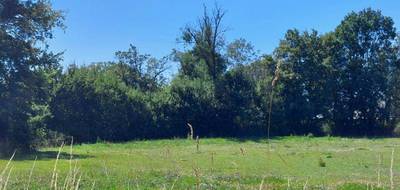 Terrain seul à Montipouret en Indre (36) de 2000 m² à vendre au prix de 15000€ - 3