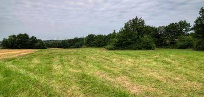 Terrain seul à Mons en Haute-Garonne (31) de 7103 m² à vendre au prix de 154000€ - 1