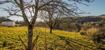 Terrain seul à Sainte-Fortunade en Corrèze (19) de 2000 m² à vendre au prix de 35000€ - 3