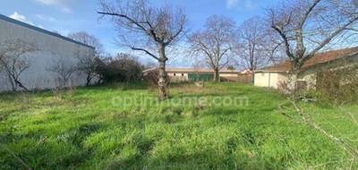 Terrain seul à Gujan-Mestras en Gironde (33) de 611 m² à vendre au prix de 336000€ - 3