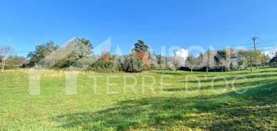 Programme terrain + maison à Pont-de-Larn en Tarn (81) de 2116 m² à vendre au prix de 192900€ - 2
