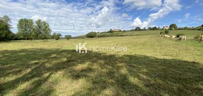 Terrain seul à Aurignac en Haute-Garonne (31) de 7570 m² à vendre au prix de 49000€ - 4
