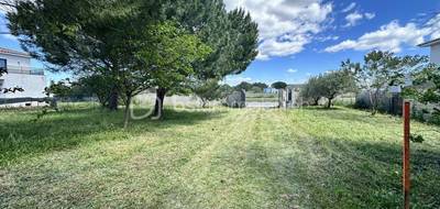 Terrain seul à Aimargues en Gard (30) de 1977 m² à vendre au prix de 650000€ - 1
