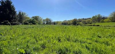 Terrain seul à Saint-Sornin-Lavolps en Corrèze (19) de 8903 m² à vendre au prix de 50000€ - 1