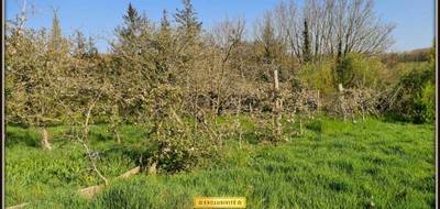 Terrain seul à Landivisiau en Finistère (29) de 3650 m² à vendre au prix de 250000€ - 4