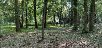 Terrain seul à Lamorlaye en Oise (60) de 6157 m² à vendre au prix de 630000€ - 4