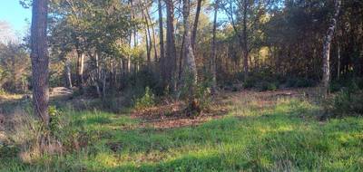 Terrain seul à Saint-Sauveur en Gironde (33) de 3658 m² à vendre au prix de 88000€ - 1
