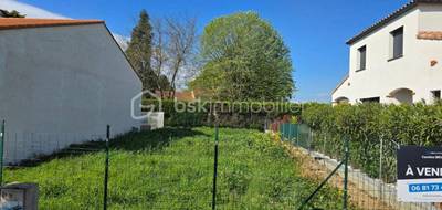 Terrain seul à Saint-Cyprien en Pyrénées-Orientales (66) de 263 m² à vendre au prix de 155000€ - 2