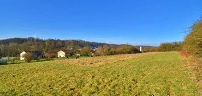 Terrain seul à Raival en Meuse (55) de 18614 m² à vendre au prix de 186000€ - 3