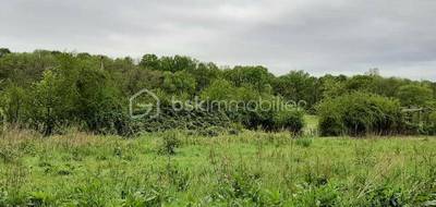 Terrain seul à Soignolles-en-Brie en Seine-et-Marne (77) de 667 m² à vendre au prix de 166000€ - 3
