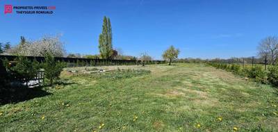Terrain seul à Égreville en Seine-et-Marne (77) de 2844 m² à vendre au prix de 55000€ - 3