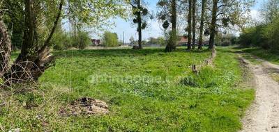 Terrain seul à Chivres-en-Laonnois en Aisne (02) de 6242 m² à vendre au prix de 25000€ - 3