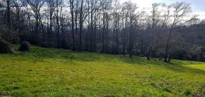 Terrain seul à Buros en Pyrénées-Atlantiques (64) de 5000 m² à vendre au prix de 120000€ - 2