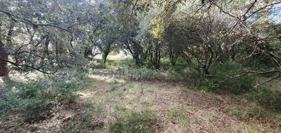 Terrain seul à Uzès en Gard (30) de 2638 m² à vendre au prix de 267500€ - 3